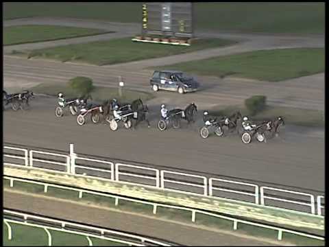 Trotto 13/11/2014 - 4° corsa