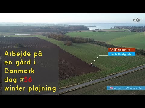 Arbejde på en gård i Danmark dag #56