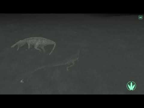 Dilo vs Sucho(1v1)-The Isle Legacy Gameplay