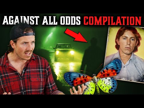 Top 5 Bingeable SCARY STORIES • WTF HAPPENED? Edition