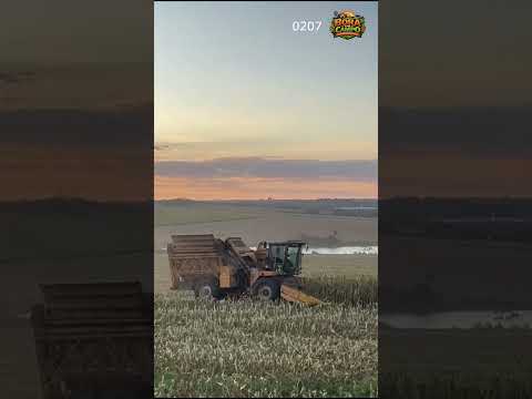 Fazenda à Venda em Anápolis - Goiás #fazenda #agronegocio #shorts