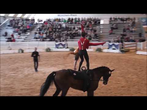 Deutsche Jugendmeisterschaften München 2018 - Voltigieren - Julian Kögl / Ronja Kähler