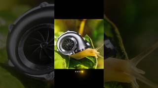 Switching to bug edits 🐞 #bug #edit #turbo