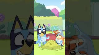 Bingolar Çoğalıyor!  | Bluey | @DisneyPlusTR