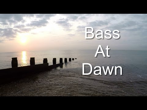 Bass At Dawn (beach lure fishing uk)