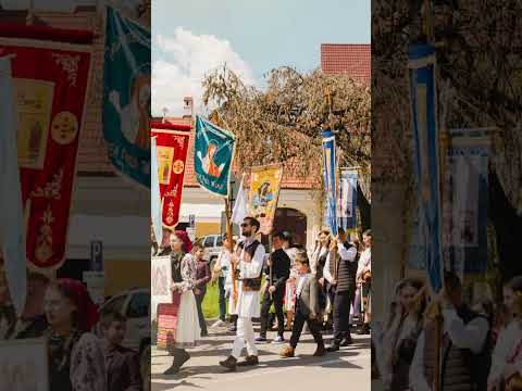 Mihăluță Alecu | Dacă lupți cu-adevărat | Cântare | Oastea Domnului