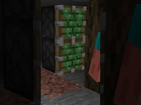 How to Make a Secret Base Entrance in Minecraft