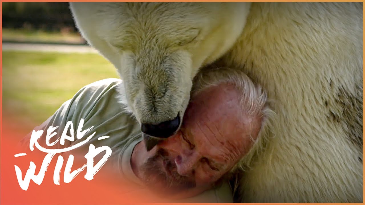 This Man Has The World's Only Pet Polar Bear