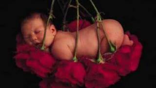 Eu quero o sol nesse jardim (catedral)