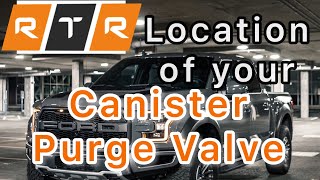 How to Locate Your Purge Valve! (2018-2022 Ford F-150 5.0L)