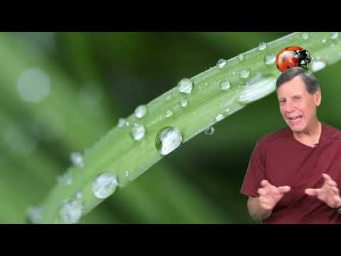 Dew Point vs Relative Humidity - What are they and why should you care?