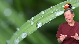 Dew Point vs Relative Humidity - What are they and why should you care