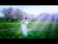 Thierry David - L'Invitation au mystere