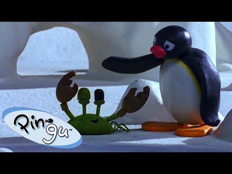 Pingu and His Little Crab Friends 🐧 | Pingu - Official Channel | Cartoons For Kids