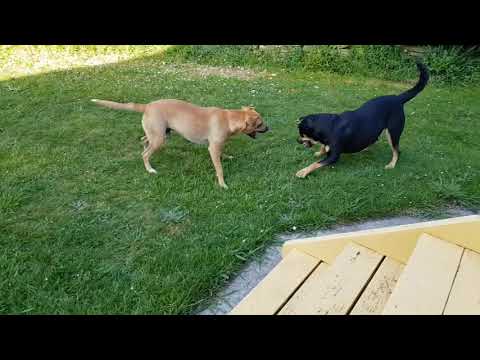 2017-11-01 Enjoying the sun