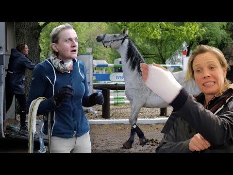 Gefährliches verladen - Pferd musste betäubt werden bevor es die lange Reise antreten konnte