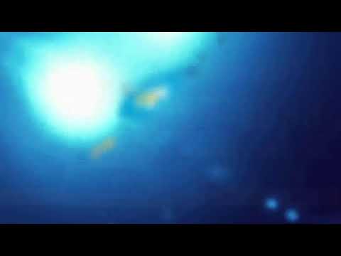 Jornal Bom dia Itanhaém - 14/02