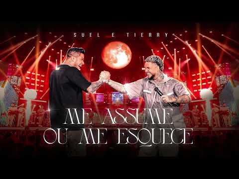 Suel e Tierry   Me Assume ou Me Esquece- SUEL E TIERRY