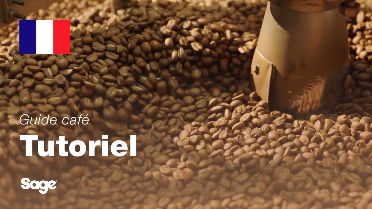 Guide didactique du café Breville - Choisir les bons grains