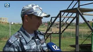 Четвероногие стражи порядка помогли раск не за год 720p