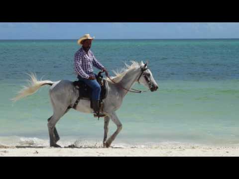 Pullman, Cayo Coco - Cuba