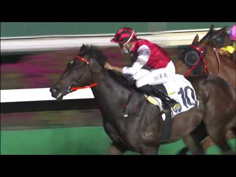 30/3/2022 (542) Masterwork - Vincent Ho