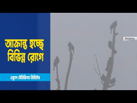 বাড়ছে শীতের তীব্রতা সঙ্গে দুর্ভোগ