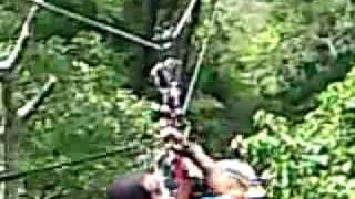 preview picture of video 'SPIDER MONKEY CANOPY TOUR (spidermonkeytours@hotmail.com)'