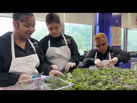 Vertical Gardens Newark