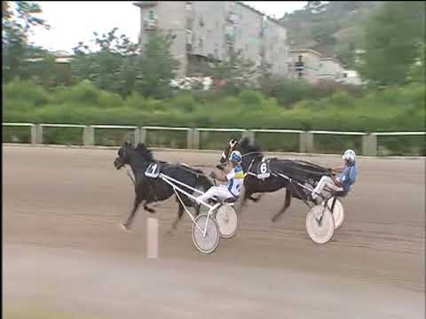 Trotto 08/09/2017 - 7ª corsa