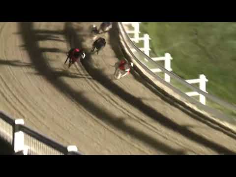 2022.05.06. 05. futam - Kincsem Food Truck Show