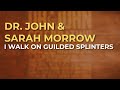 Dr. John & Sarah Morrow - I Walk On Guilded Splinters (Official Audio)