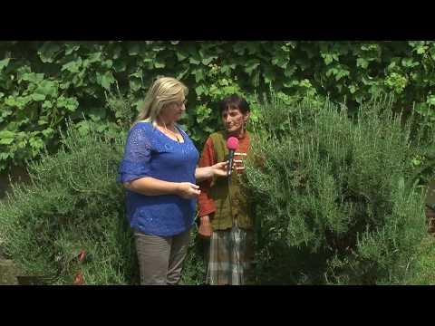 Ruzmarin - Razgovori pokraj puta - Obicaji Radjevine - Dobrivoje i Dobrila Pantelic