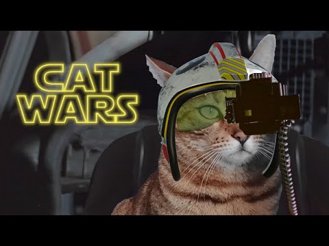 Cat Wars - a Star Wars parody