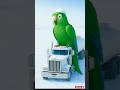 Parrot Genius Stealing Water From The Pool