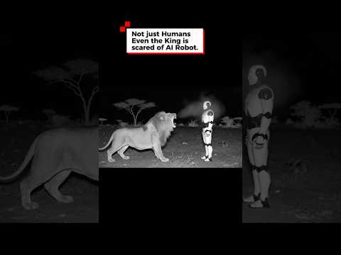 Lion vs. AI Robot: The Ultimate Standoff #viral #shorts