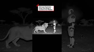 Download lagu Lion vs. AI Robot: The Ultimate Standoff #viral #shorts mp3
