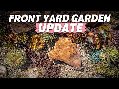 UPDATE! My Front Yard Succulent Garden