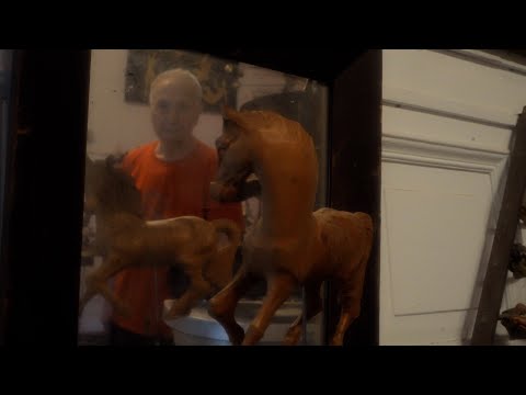 Walter's World | Trailer