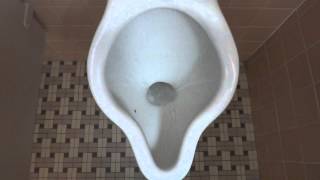 preview picture of video 'Bathroom Tour: Barton Building Clayton MO with beautiful Standard Urinal and Toilet'