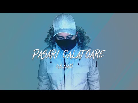 IULIANO - PASARI CALATOARE 🙅🏼‍♂️🙆🏾‍♂️ (VIDEO)
