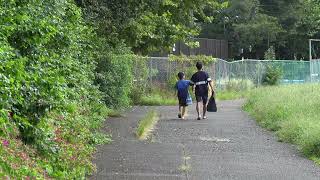 夏も終わるころ
