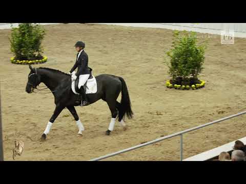 DeLorean v. Dancier - Weltmeyer - Airport