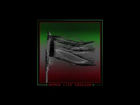 Skoden - Can't Stop Won't Stop [SNT03]