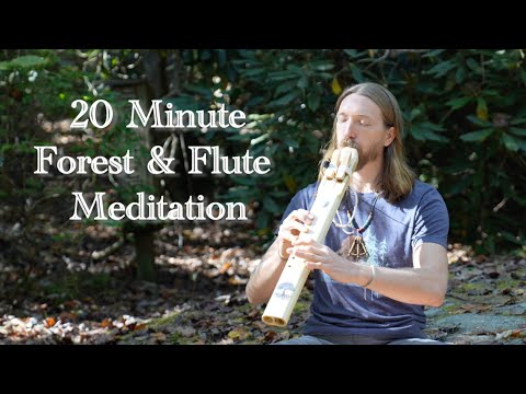 20 Minute Flute & Forest Meditation
