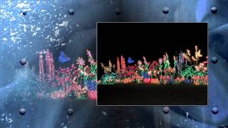 BelleVue Xmas  Light.mpg