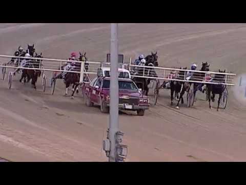 Aversa trotto 5 Febbraio 2020 - 5° Corsa