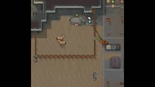 Video 5