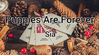 Puppies Are Forever - Sia | Lyrics [1 hour]