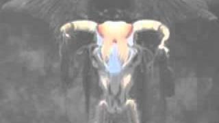 Eagles - Too Many Hands